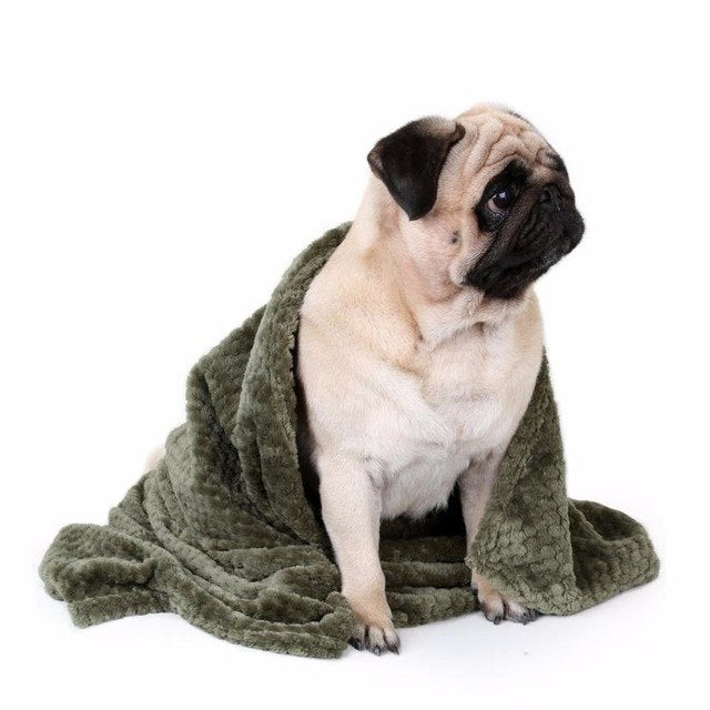 Blanket for Pet