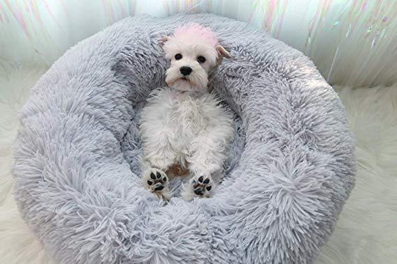 Pet Dog Bed