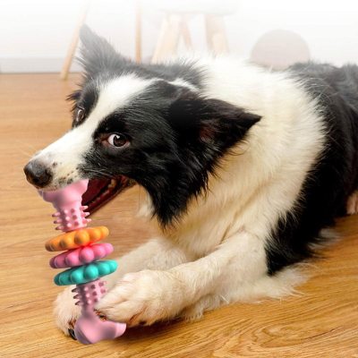 Bone Type Dogs Teeth Cleaning Toys